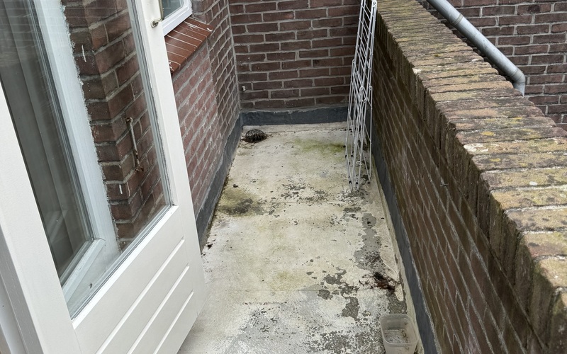 Balkonrenovatie Utrecht